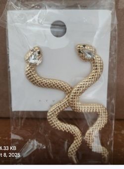 Snake Earrings 