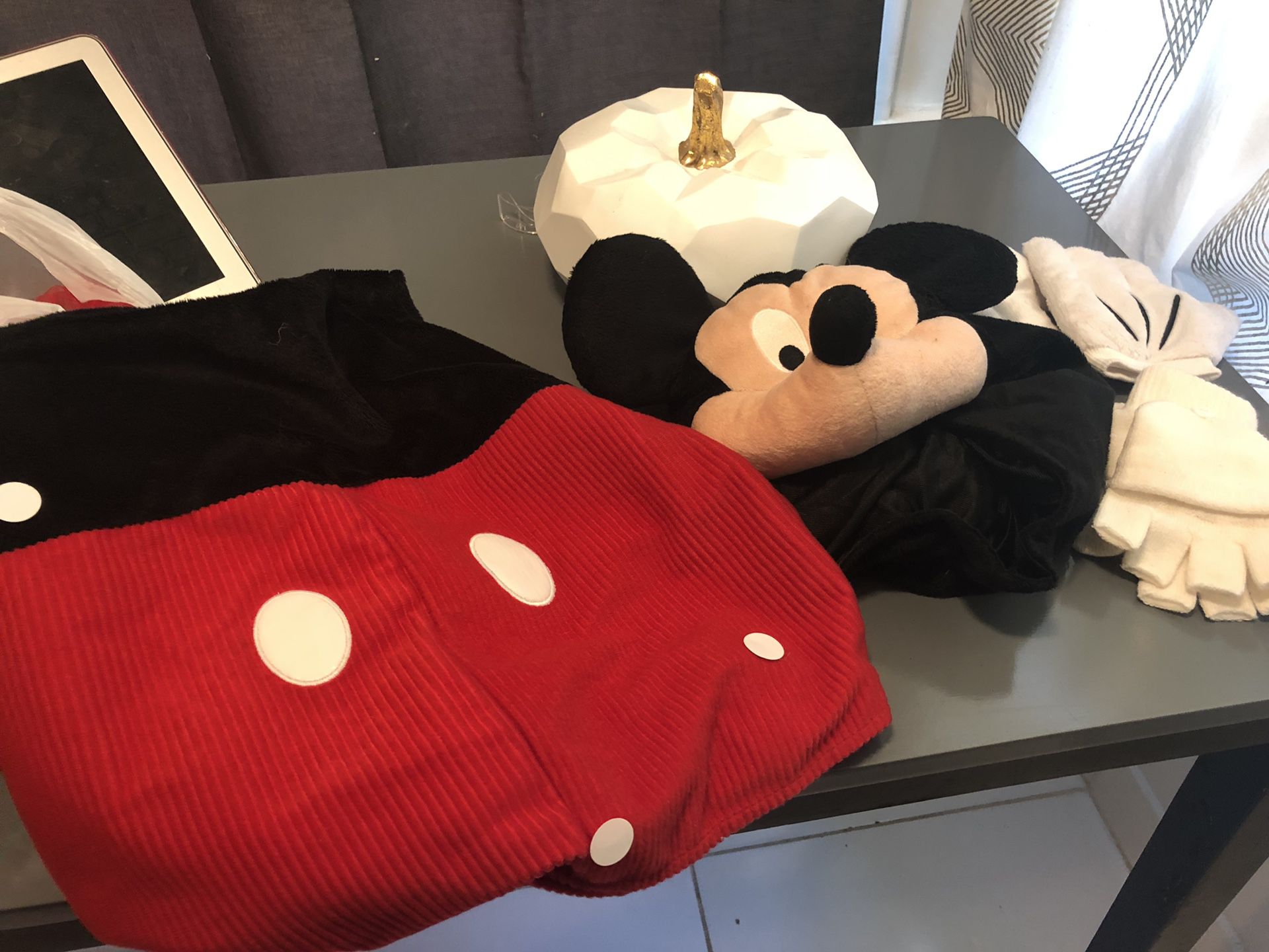 Mickey & Minnie Halloween Costume