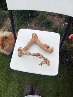 Hamster branch