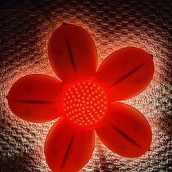 Night Light Hangs On Wall