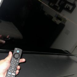 Insignia 50" Flat Screen TV