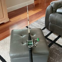 6 ft. 6inch Penn Longbeach Rod,and Penn. # 65 Long each Reel. Salt Water Combo