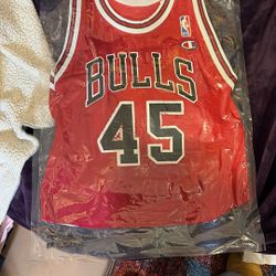 Vintage (Youth) Chicago Bulls/Jordan 45 Jersey