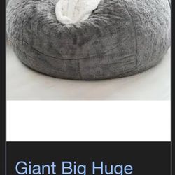 Xl Bean Bag Chair Gently Used