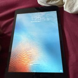 iPad Mini 7.9 Inch