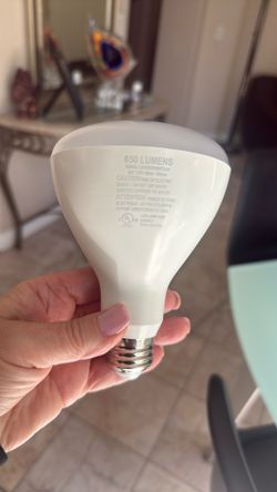 Light Bulb