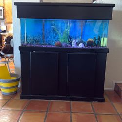 60 Gallon Fish Tank Everything Included