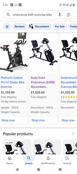 Endurance B4RB Recumbent Bike