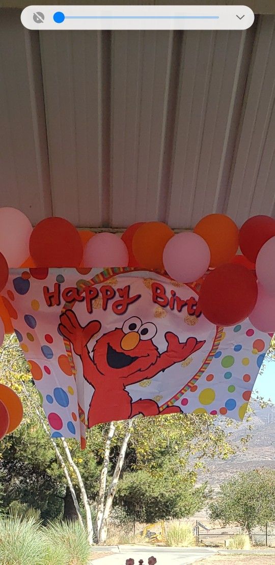 Elmo Happy Birthday Banner/Backdrop
