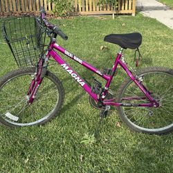 24” Magna Great Divide Mountain Bike, 15 speed & comes with a front basket, used in great condition