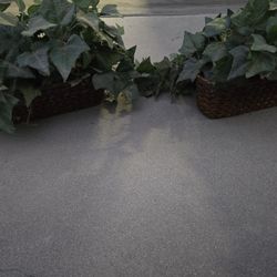 2 Artificial Plants With Wicker Basket