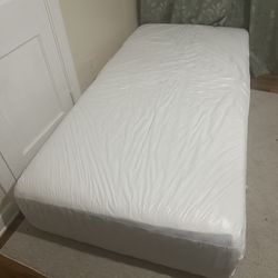 Twin Size Mattress 
