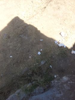 2x4s for concrete