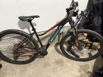Orbea Mountain Bike
