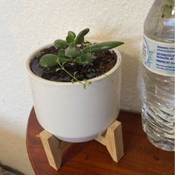 Cute Planter With Wood Stand
