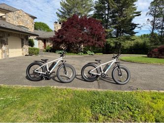 Electric Bikes