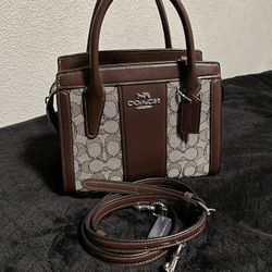 COACH andrea Carryall bag