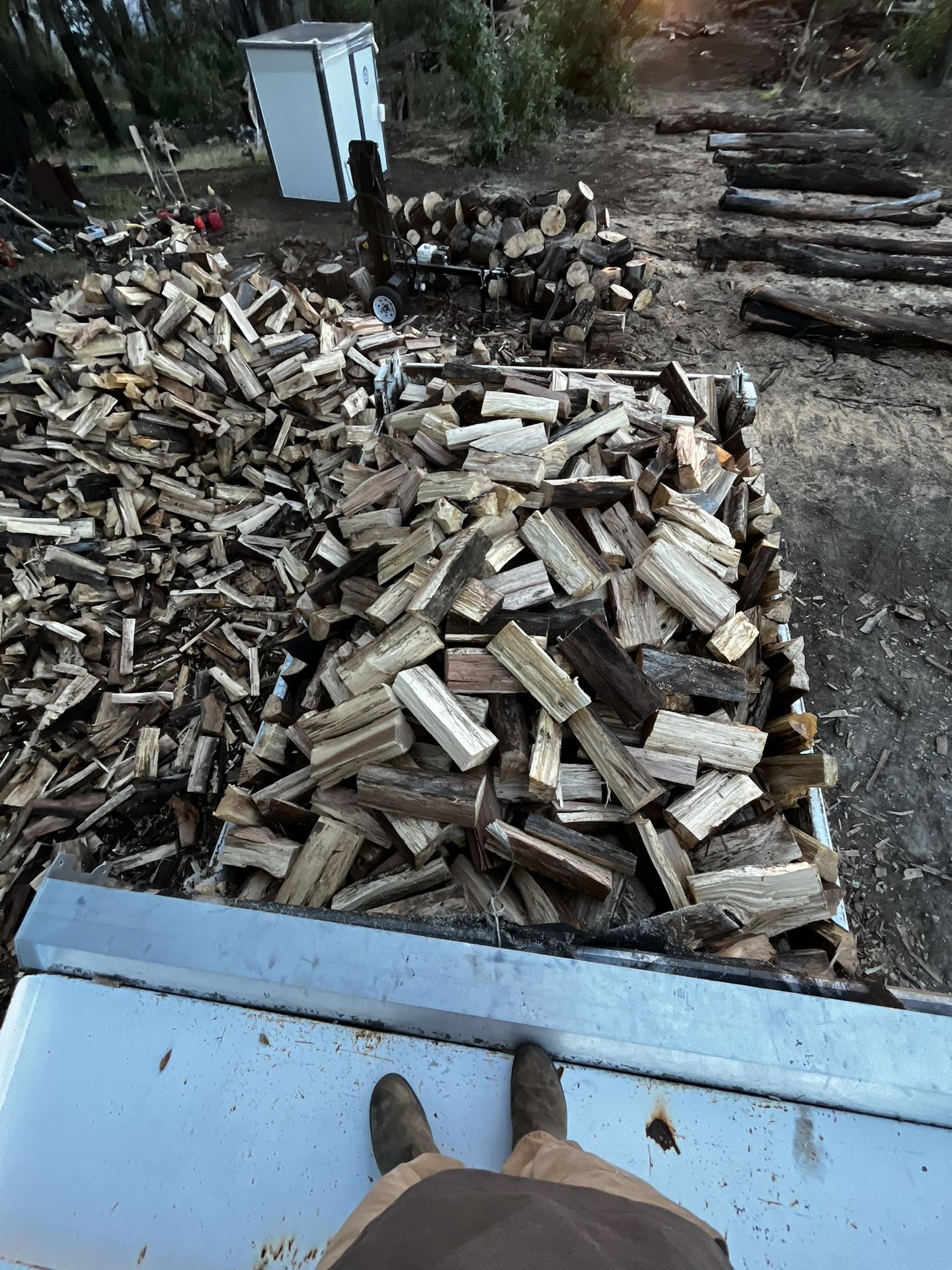 Seasoned Firewood Bundles  