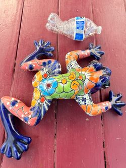 Frog art