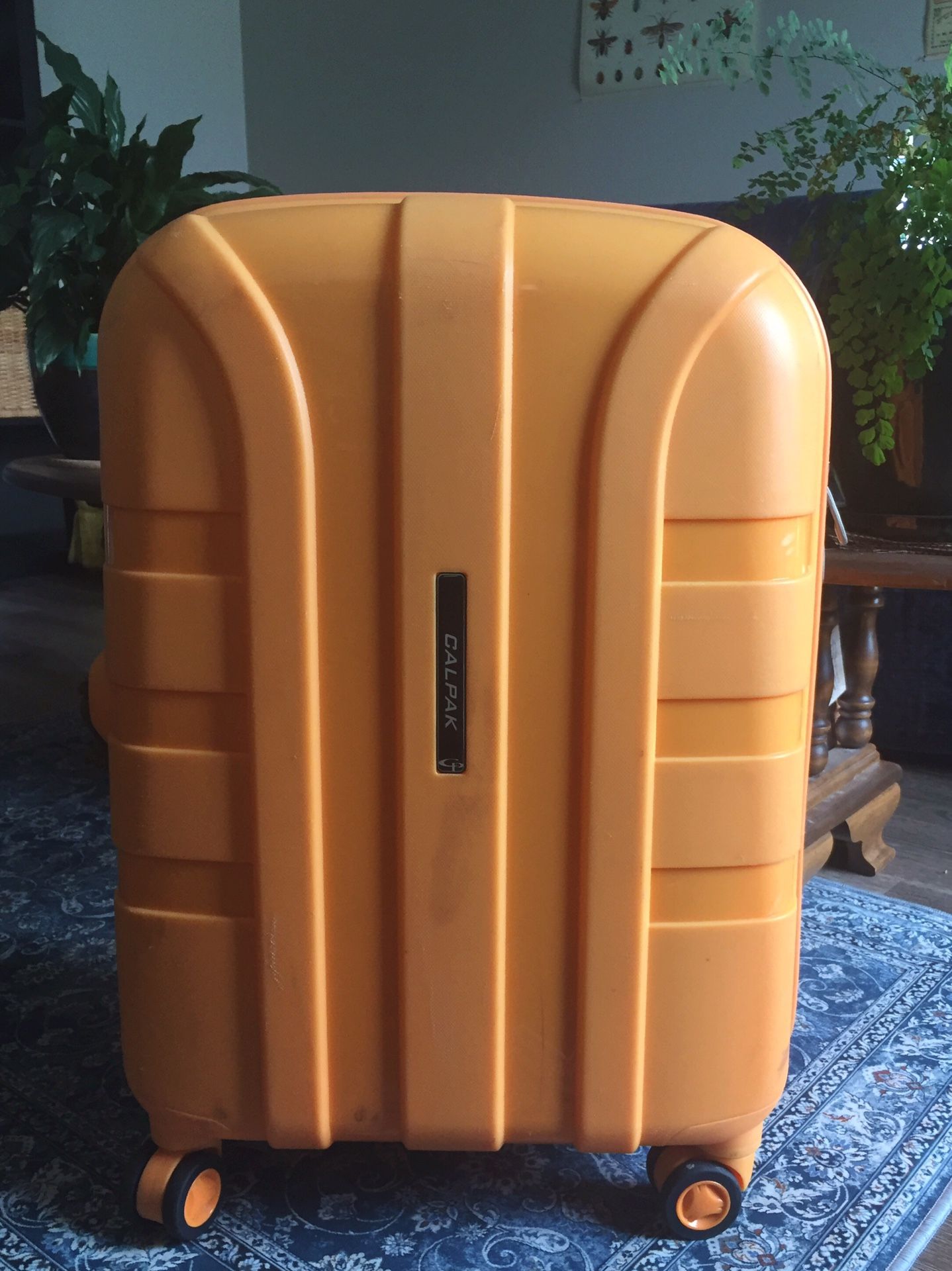 Hard-shell Calpack Luggage