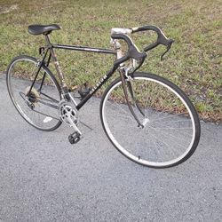 Raleigh Road Bike 700C 