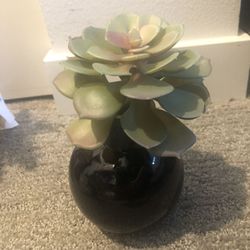 3 artificial plants in excellent and new condition, all for $15