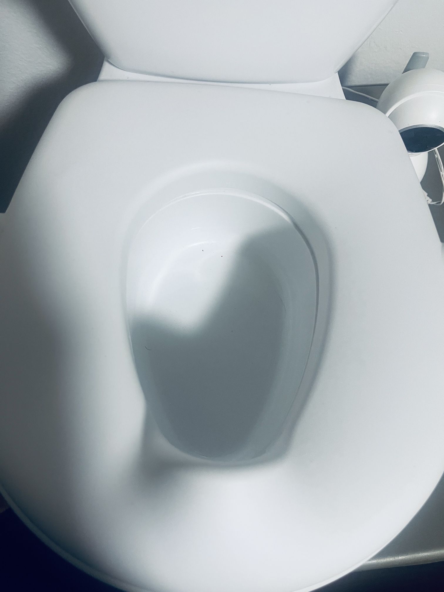 Kids Toilet