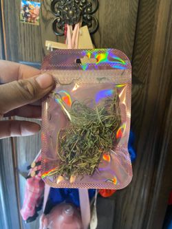 3$ Dried French Tarragon Herb - Homegrown / Garden Fresh