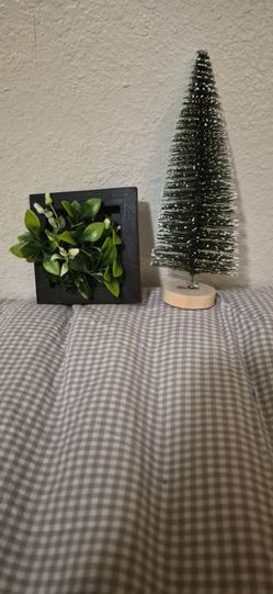 Plant Decor