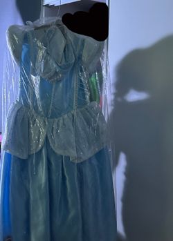 Cinderella Dress
