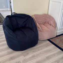 Big Joe Bean Bags (can buy individually If you want)