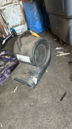 Carpet fan