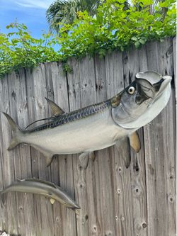 Tarpon Wall Mount 6ft Length