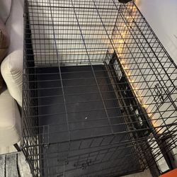 dog crate