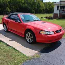 2000 Ford Mustang