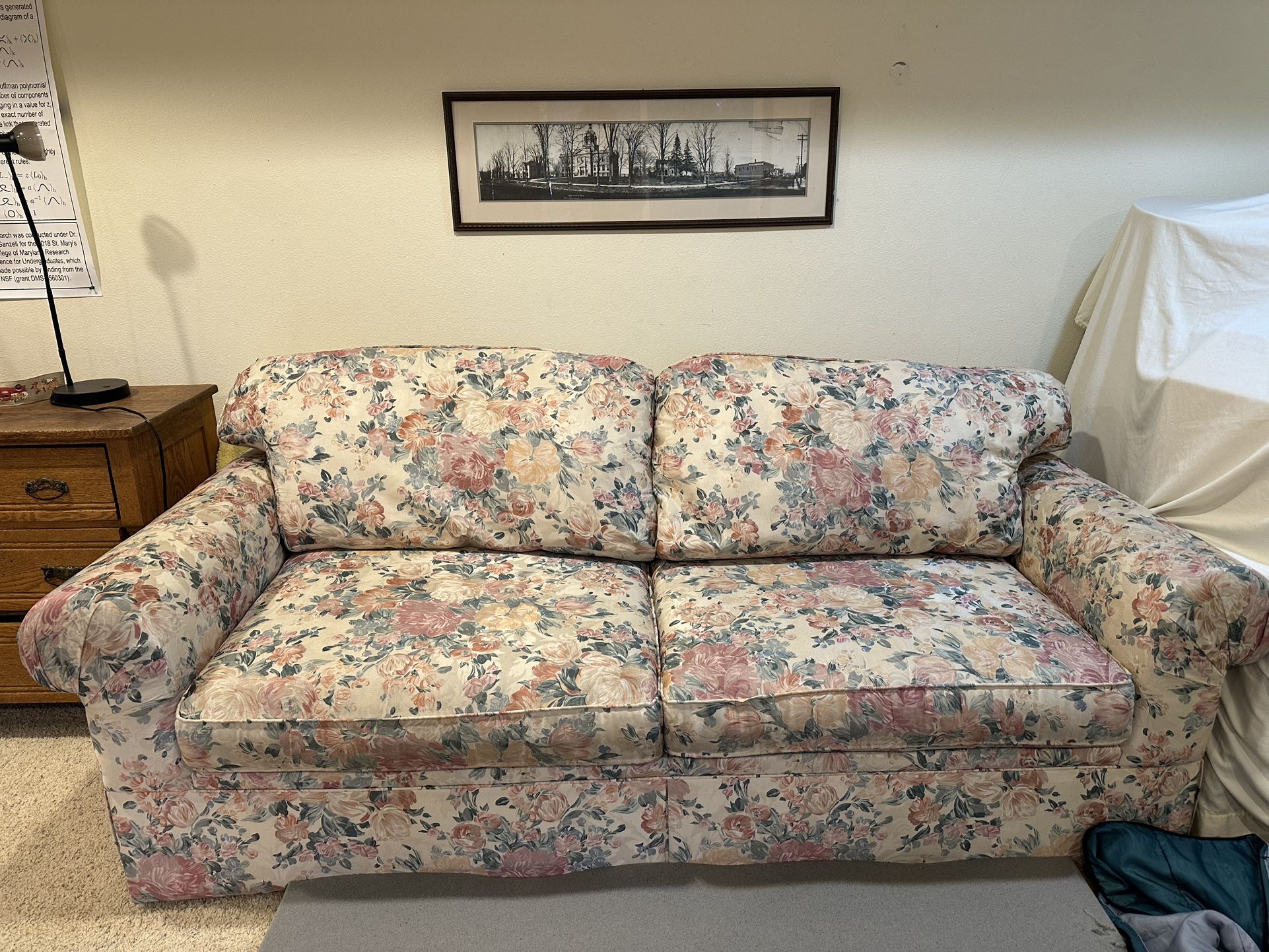 Sofa with Pull Out bed