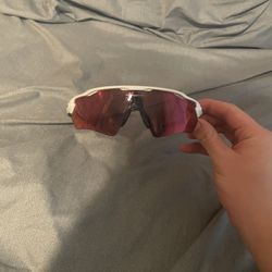 Oakley Baseball Sunglasses