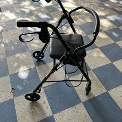 Mobility Walker