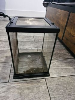 Spider Terrarium
