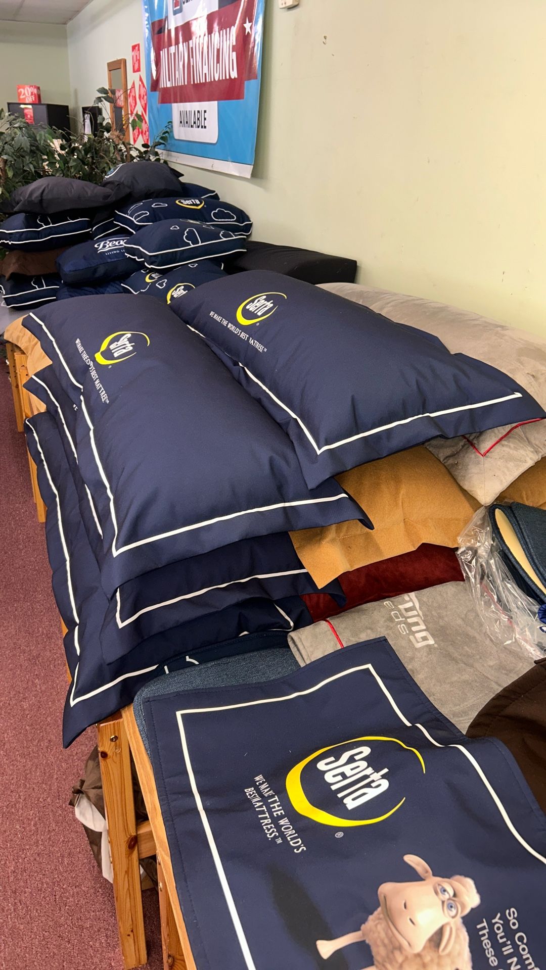 Body Pillows! $10 Each!