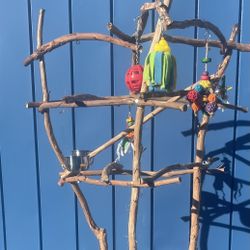 Tall And Airy African Grey - Amazon Parrot Perch Tree … The Great Socializer For Too Much Cage Time !! 👍🏼👍🏼