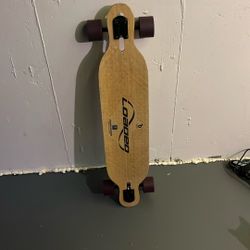 Loaded Longboard Flex 1