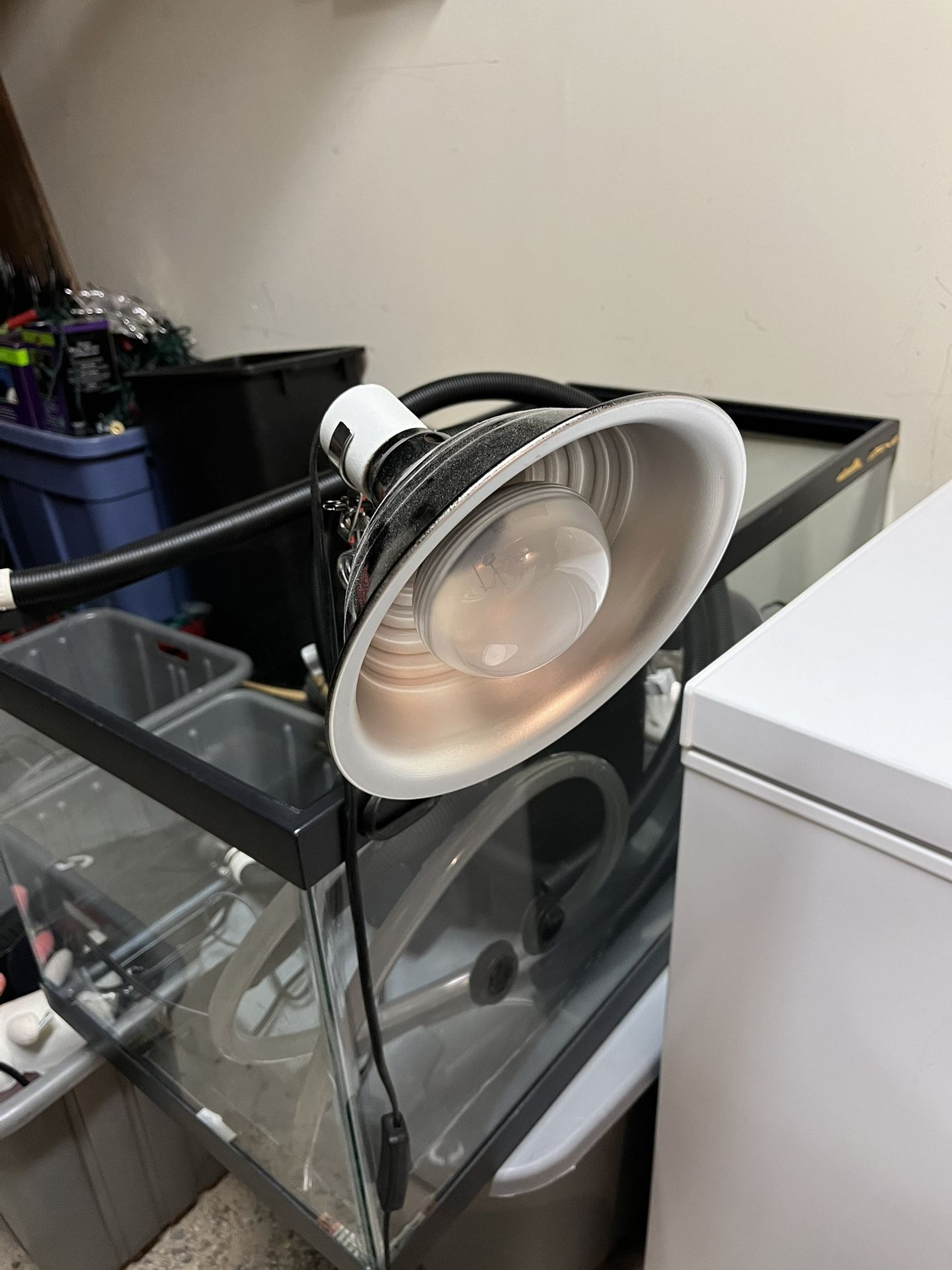 Heat Lamp