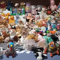 Discounted Collectible Beanie Babies Going Fast