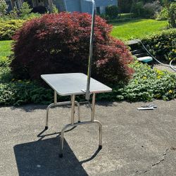 Animal Grooming Table