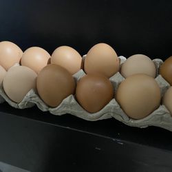 Dozen Fresh Organic Eggs!