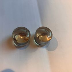 Double Flare Plugs Taxidermy Scorpion Size 5/8