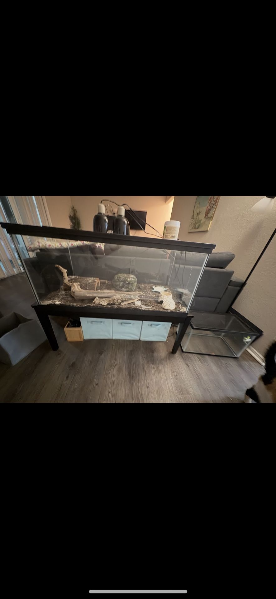 55 Gallon tank
