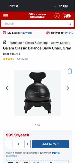 Balance Ball Office Chair
