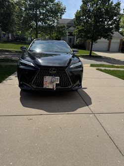Lexus NX350H  BLACK